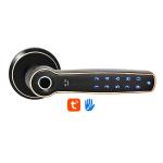 Customized Logo Electronic Door Lock Anti Peep Smart Cylinder Lock