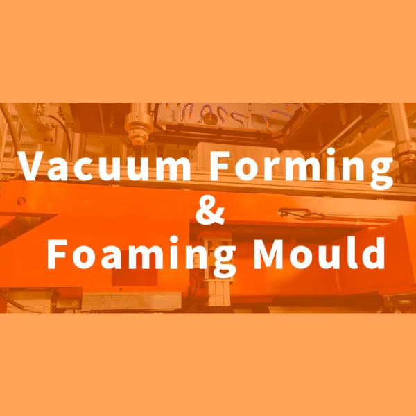 Cheap Vacuum Forming And Foaming Mould for sale