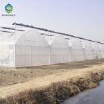 Commercial 200 Micron Film 0.50KN/M2 Multi Span Greenhouse