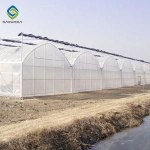 Quality Commercial 200 Micron Film 0.50KN/M2 Multi Span Greenhouse wholesale
