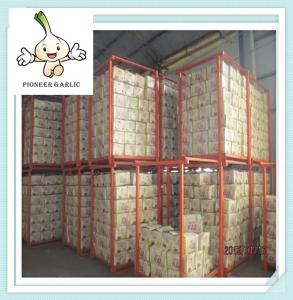 Quality New Crop Chinese Garlic at low rate from Jinxiang County[Hot Sale] wholesale