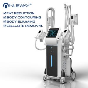 Quality 3 years warranty best quality effective result 4 Cryolipolysis slimming machine with ce wholesale