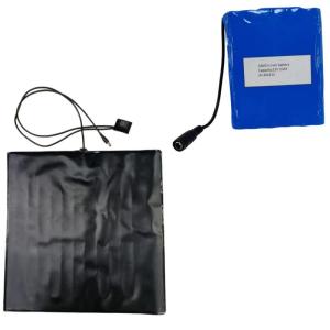 Quality Custom 12V 10Ah Battery Heating Pads Set PVC Pad 35x35cm For Pizza Delivery Bag wholesale