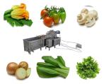 Cleaning Drying Dry Dates Vegetable And Fruit Washing Machine