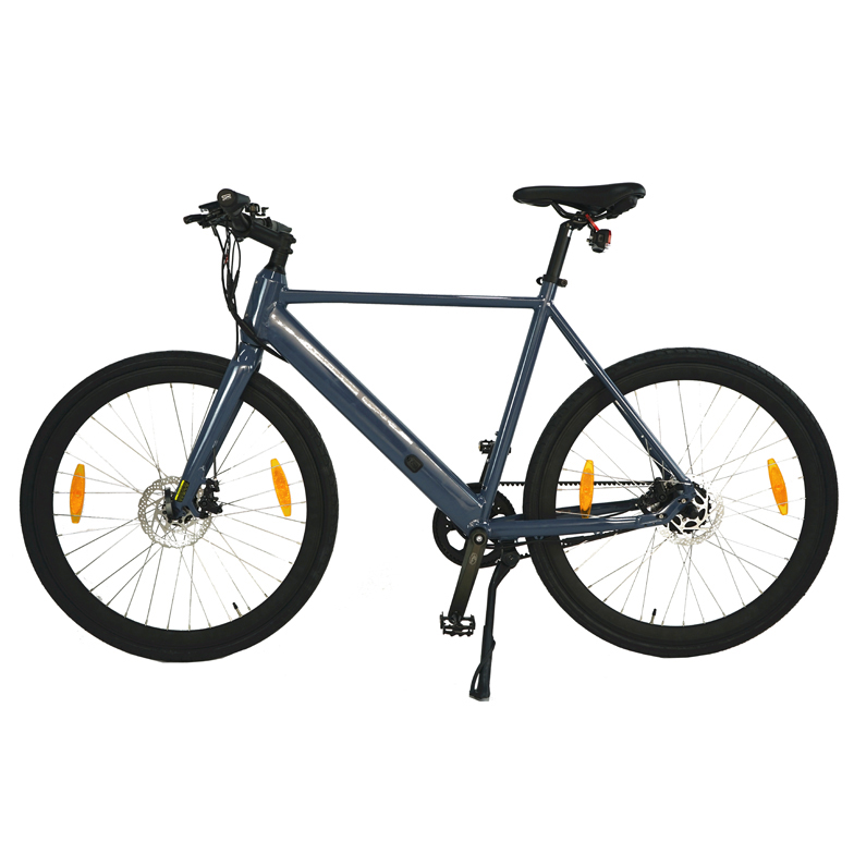 Urban Electric Bike with TRUCK Rear Drive 36V 250W Motor Customized Carbon Belt Drive