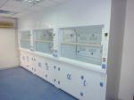 White / Blue Lab Fume Cupboard Low Noise For Chemical Research Institution