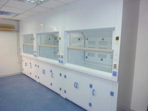 Quality White / Blue Lab Fume Cupboard Low Noise For Chemical Research Institution wholesale