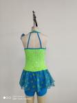 Green And Blue Show Dance Wear Pattern Performance Clothing