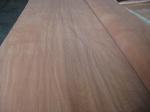 Rotary Cut/Peeled Gurjan Wood Veneer Sheet