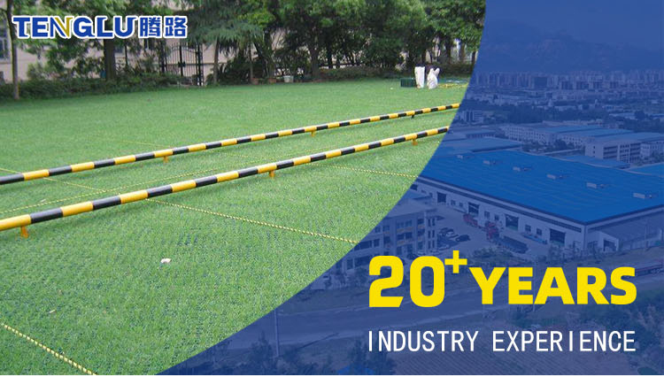 Black Green HDPE Plastic Grass Paver Grid for Parking Lot Planting Durable and Strong