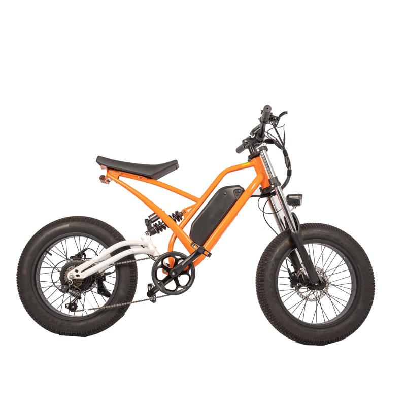 48V Electric Bike with 13Ah Battery 750W 1000W Motor 7 Speed 20" Tire and 180KG Load