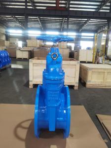 Quality OEM 10&quot; Soft Seat Gate Valve Ductile Iron Valves DN250 wholesale
