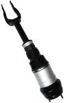 1663202513 Air Suspension Parts Air Suspension Strut