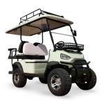 Utility Trucks With 2 Passenger And 48V 5KW AC Motor Journey Golf Cart Standing