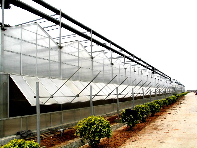 Polycarbonate Sheet Aquaponic Tomato Galvanized Steel Pipe For Prefabricated PcTent Greenhouse