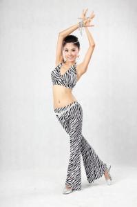 Quality 2pcs Animal Printed Belly Dance Training Wear With Pants &amp; Bras Belly Dance Clothes wholesale