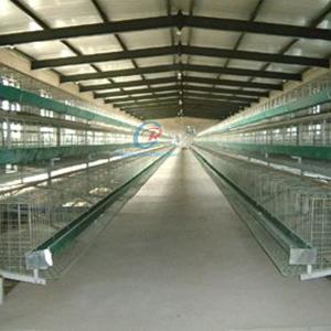 Quality Galvanised Steel Structure Poultry House Customized With Insulated Panels wholesale