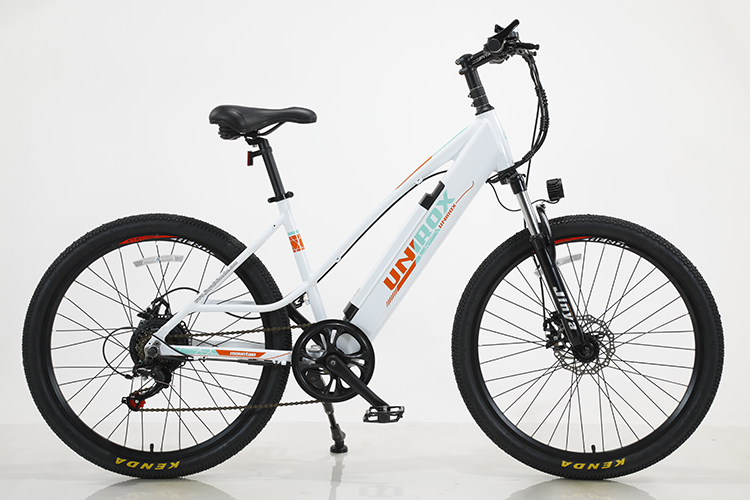 Customized 6 Speed Lithium Battery Electric Mountain Bike for Off-Road Adventures