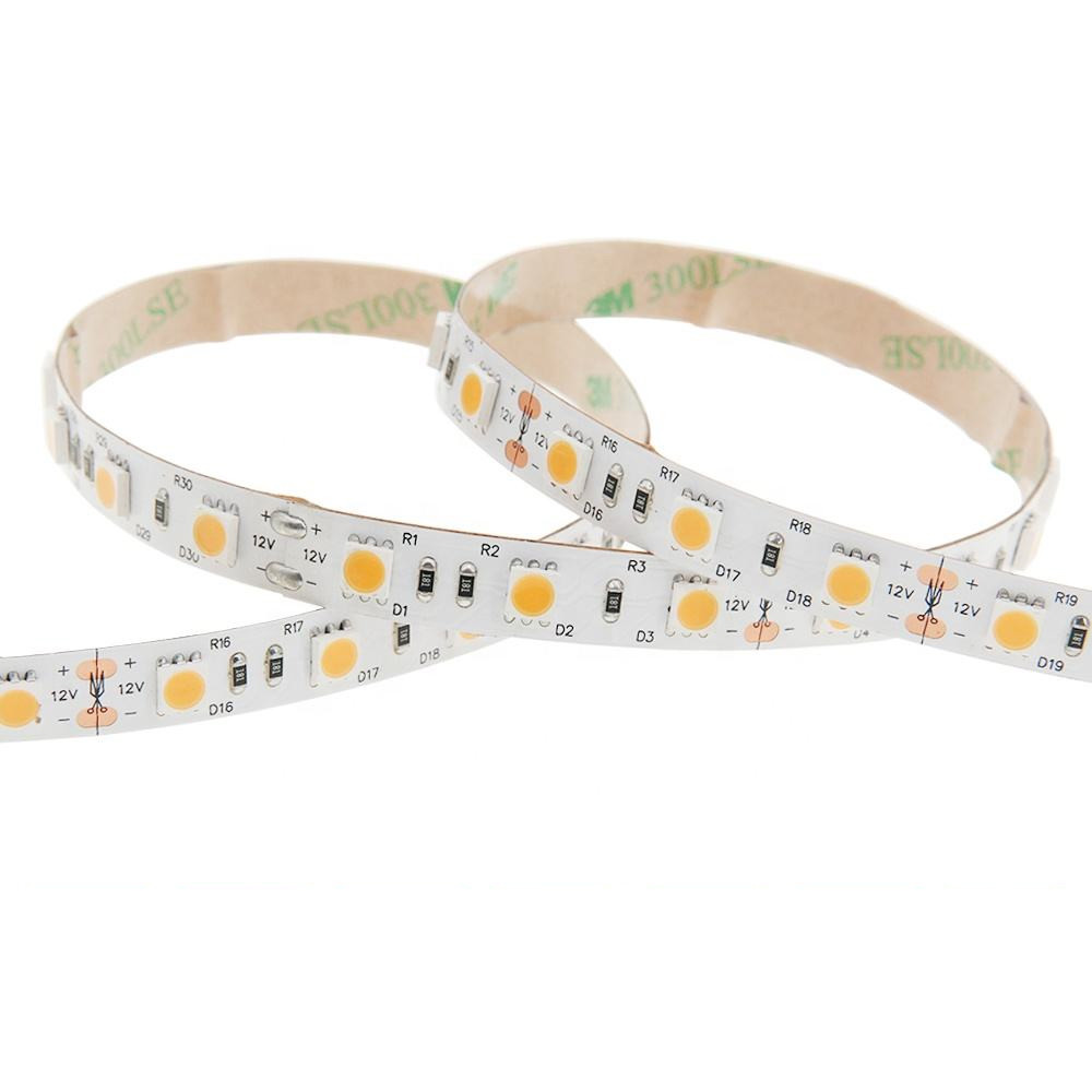 2700K 4000K 6500K Smart LED Strip Lights For Home Lighting SMD 5050