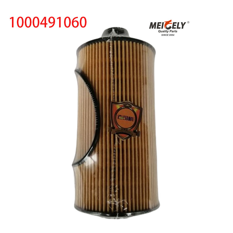 1000491060 FAW Jiefang J6PJH6 Truck Oil Filter