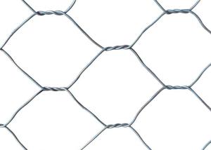 Quality 19mm Poultry Wire Mesh Fence , 50mm Hole Hex Wire Fencing wholesale