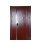 BS Steel Fire Rated door1 Hour With Wired Glass/ RAL Color/ 45mm Thick