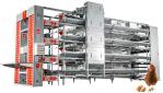A Type Battery Layer Chicken Cage Automatic Chicken Poultry Farming Equipment