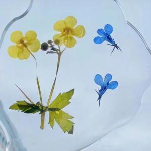 Quality Applications of Polyaspartic Polyurea Resin wholesale