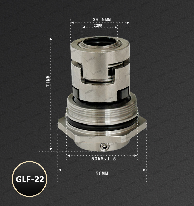 BERGMAN Replace Grundfos GLF-22mm Hexagon CR CRN CRI Pump Mechanical Seal HQQV HQQE 96525490 96525458