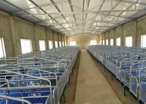 Quality 2.5mm Pipe Two Sows Stainless Steel Pig Farrowing Crate wholesale