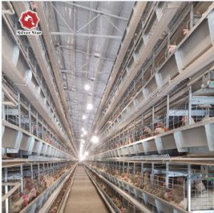 Quality H Type Chicken Poultry Cage Coops Automatic Battery Cages wholesale