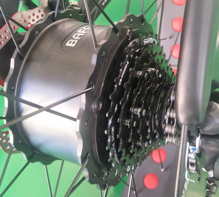 48V 750W Bafang Rear Hub Motor Electric Bicycle for Mountain Riding on 26 Inch Wheel