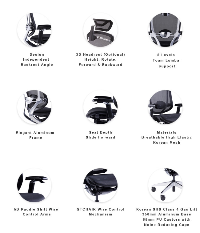 Gtchair Marrit Computer Desk Chair Adjustable High Back Ergonomic Office Chair