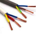 Rvvp Shielded Flexible Cable Wire 300/300V 300/500V 450/750V for PVC Insulated