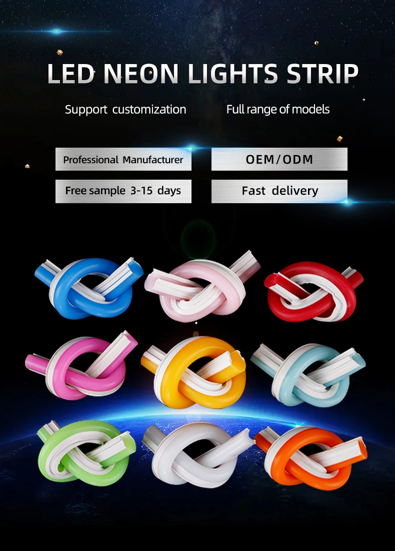 Silicone Extrusion Neon Lights 110V 127V 220V IP65 Waterproof 120leds/m SMD 2835 Led