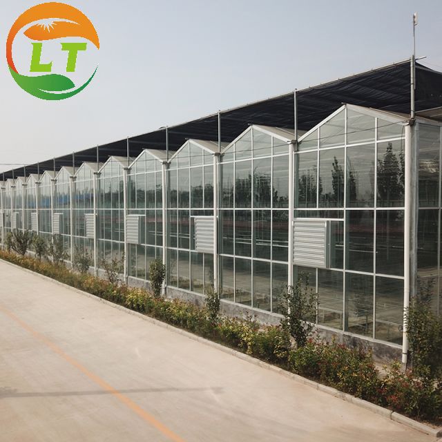 Multi-span Glass Greenhouse Agricultural Instruction with Super Strong Resistance