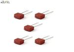 UL VDE KC PSE Approved TE5 392 382 372 932 TR5 300VAC Time-Lag Square Subminiatu