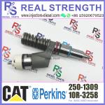 250-1309 2501309 Perkins Diesel Injector 10R-3258 10R3258 C13 CAT Fuel Injector
