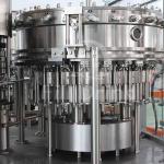 PET Bottle Carbonated Drink Filling Machine 3 In 1 Monoblock Liquid Filling