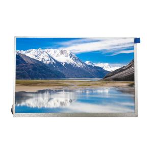Quality 10.1 Inch 1280*800 40pins Lvds Interface IPS TFT LCD Panel wholesale