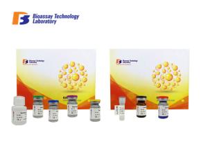 Quality Phosphofructokinase Muscle Human ELISA Kit 0.096ng/Ml With 2 Hours Assay Time wholesale