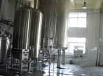 SUS 304 Brewing Equipment Beer Manufacturing Equipment 1 Year Warranty