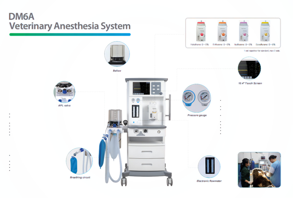 DM6A Veterinary Anesthesia System For Dog Cat Small Animal