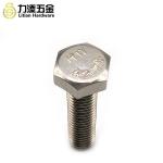 DIN933 DIN931 A2 A4 types hex cap set screw hex head stainless steel screw SS304