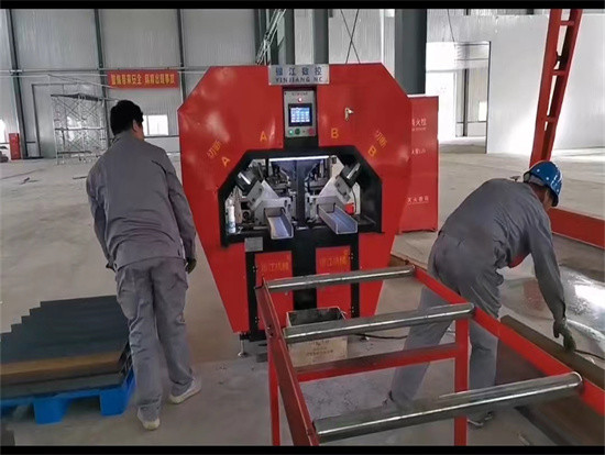 Shearing Force 100T-200T Steel Mold Channel U Bar Punching Machine 6000mm-12000mm