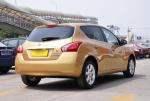 Brilliant Gold Refinish Car Paint Repair UV Resistant Weatherproof