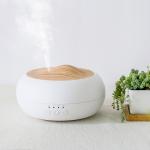 HOMEFISH USB Powered Ultrasonic Aroma Humidifier Tabletop 250ml