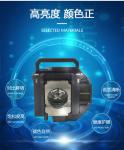 230W ELPLP50 V13H010L50 Epson Projector Lamp