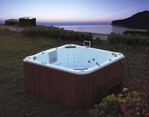 Quality Outdoor Spa MODEL:F17 wholesale