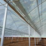 6 Foot 8 Foot Double Roof Arch Muliti Span Film Greenhouse Keep Warm For